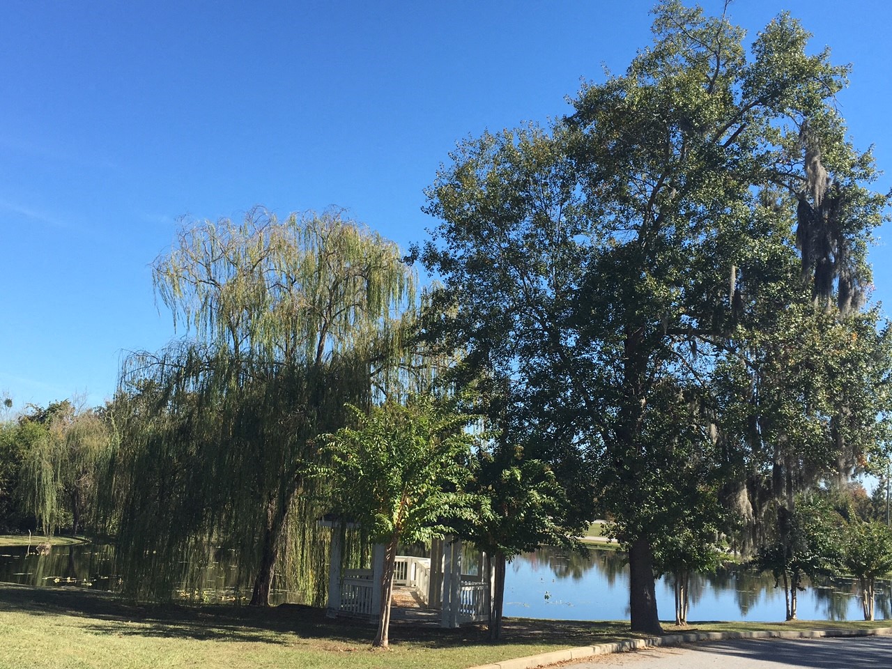 Lakewood Apartments Sumter, South Carolina Renter Insights